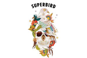 Superbird Holdings Inc.